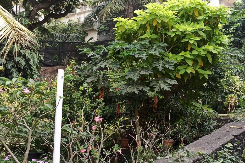 Cozy Private Ac Studio By The Sea Bandstand Bandra W Mumbai Nr Taj Lands End Appartement Buitenkant foto